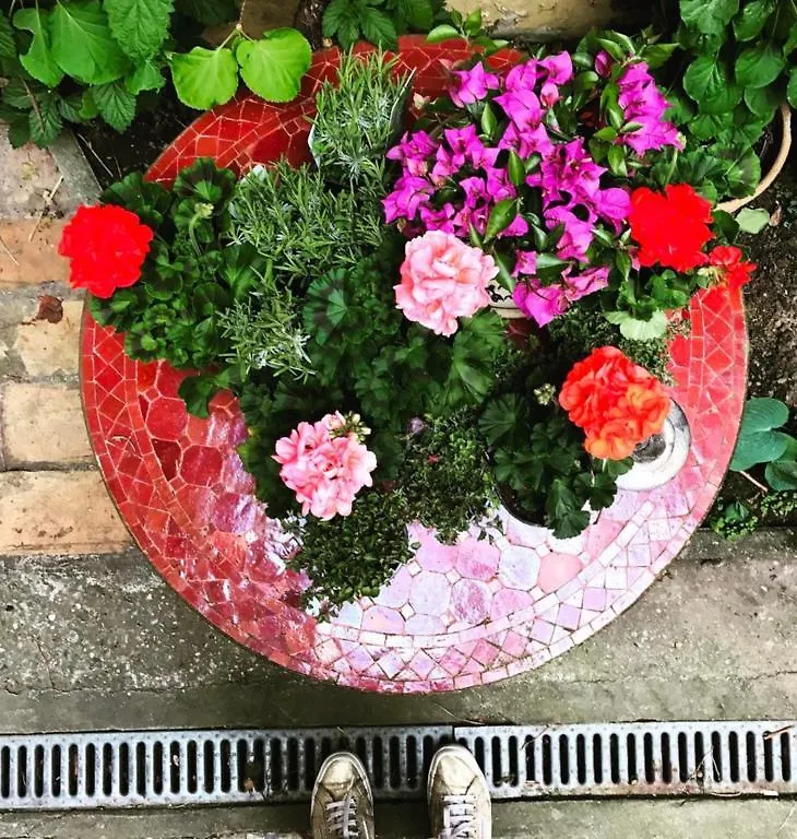 Sgt.Pepper'S Bnb Ixelles Bed & Breakfast